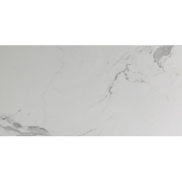 Плитка Teo Ceramics Alcora Grey F P 600х1200 R Full Lappato