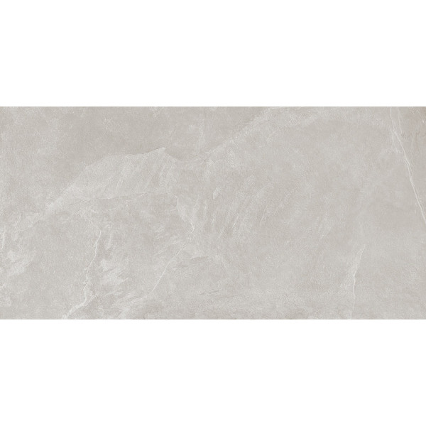 Плитка Teo Ceramics Leon Silver FPR Mat 600х1200х8