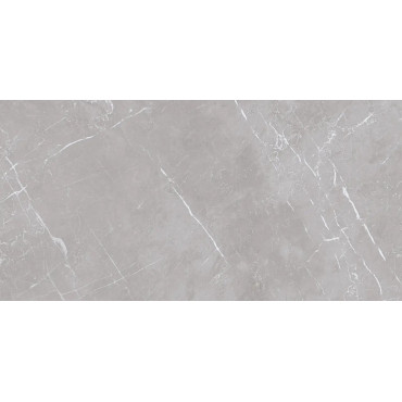 Плитка Teo Ceramics Marmolino Silver FP Mat R 600х1200
