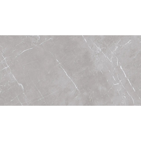 Плитка Teo Ceramics Marmolino Silver FP Mat R 600х1200
