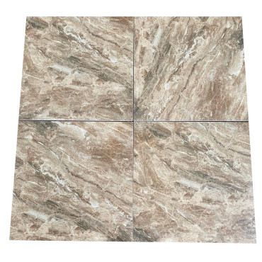 Плитка Teo Ceramics Bruno Brown F P RN Mat 600Х600