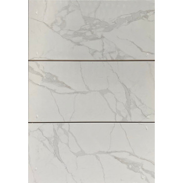 Плитка Teo Ceramics Montero White W M NR Glossy 308х608