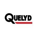 Клей шпалерний QUELYD флізеліновий (300 г)